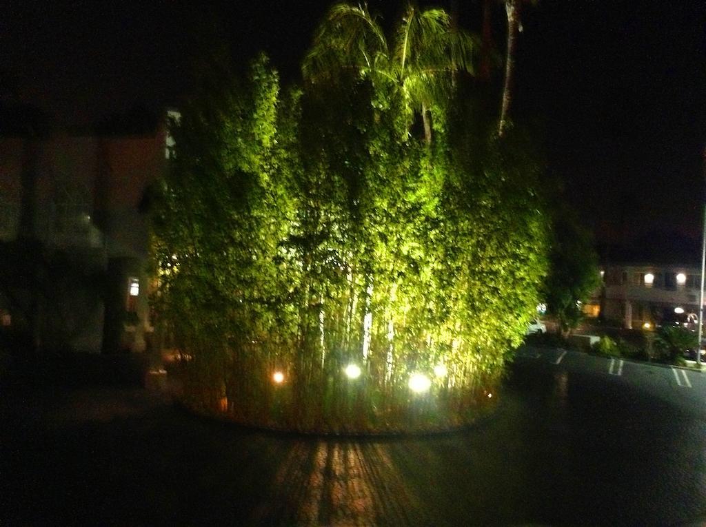 'לונג ביץ Hotel Current מראה חיצוני תמונה